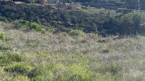 Foto 4 de Terreno en venta en Charco del Pino, Granadilla de Abona