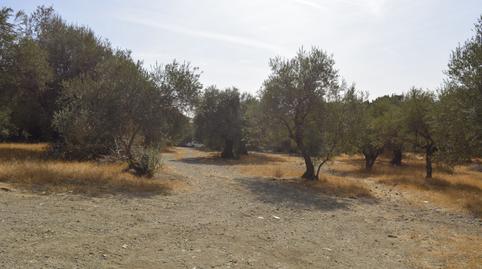 Foto 3 de Residencial en venda a Calle Proverbios, 4, Campanillas, Málaga