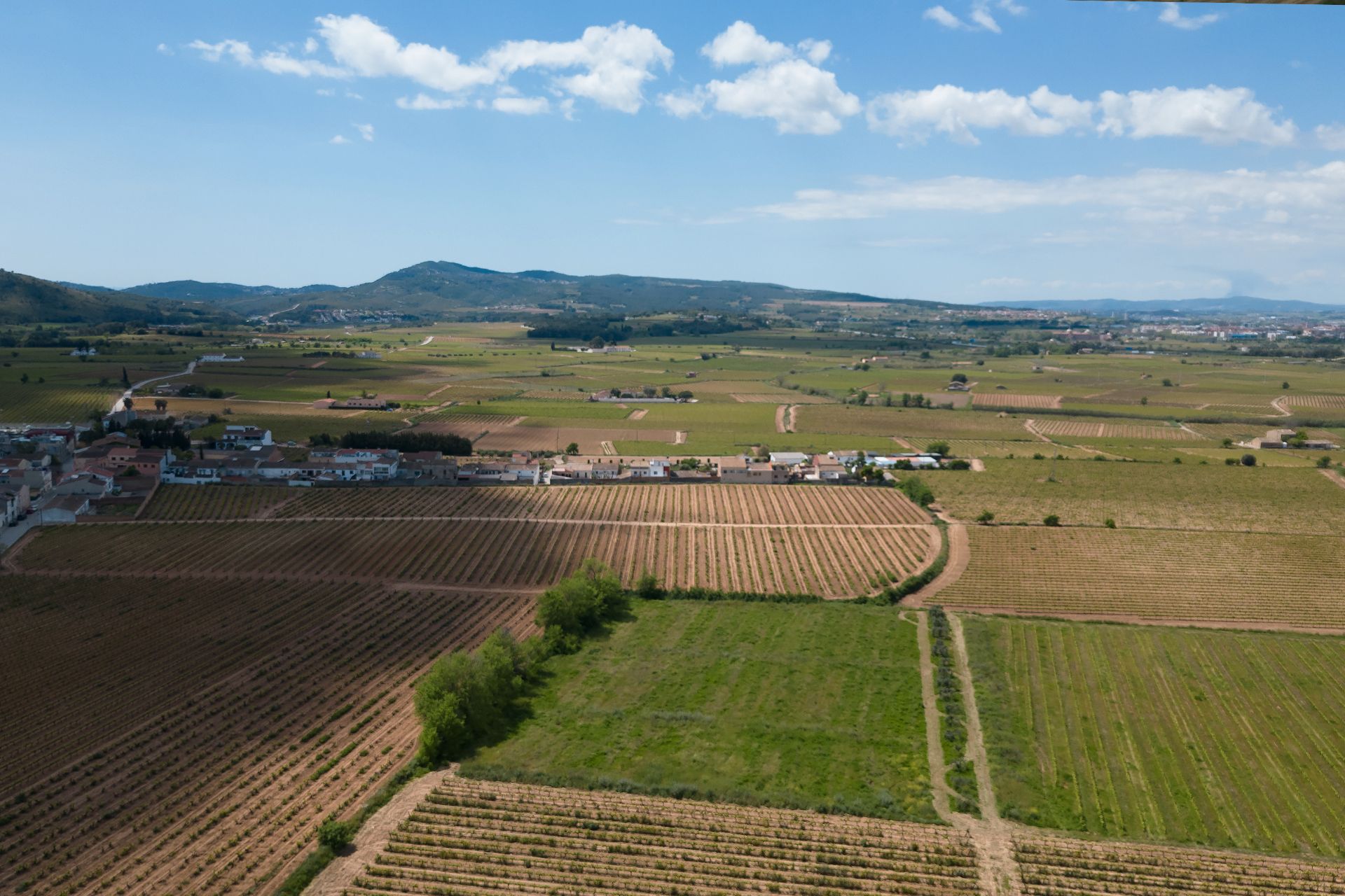 Land for sale in Sant Pere de Ribes