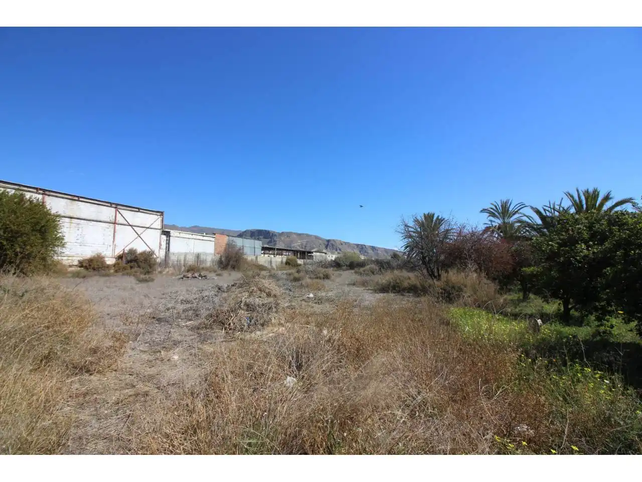 Terreno rustico in vendita a Carretera Alicún, imagen 14