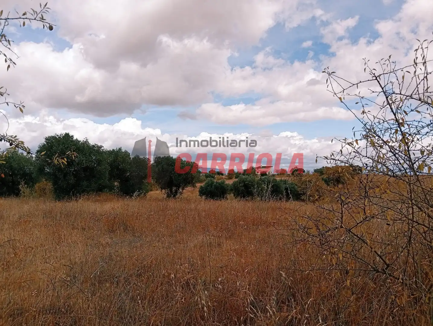 Casa rústica en venta en Los Cerralbos, imagen 11
