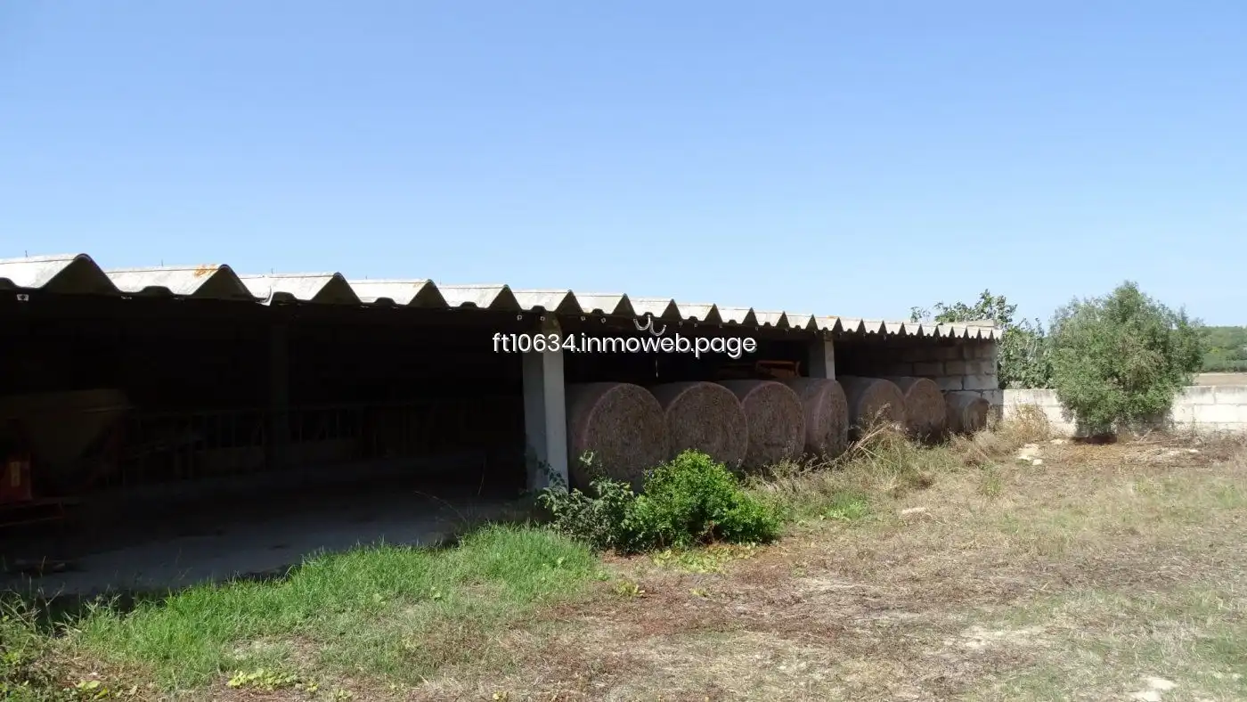 Casa en venda a Petra, imagen 51