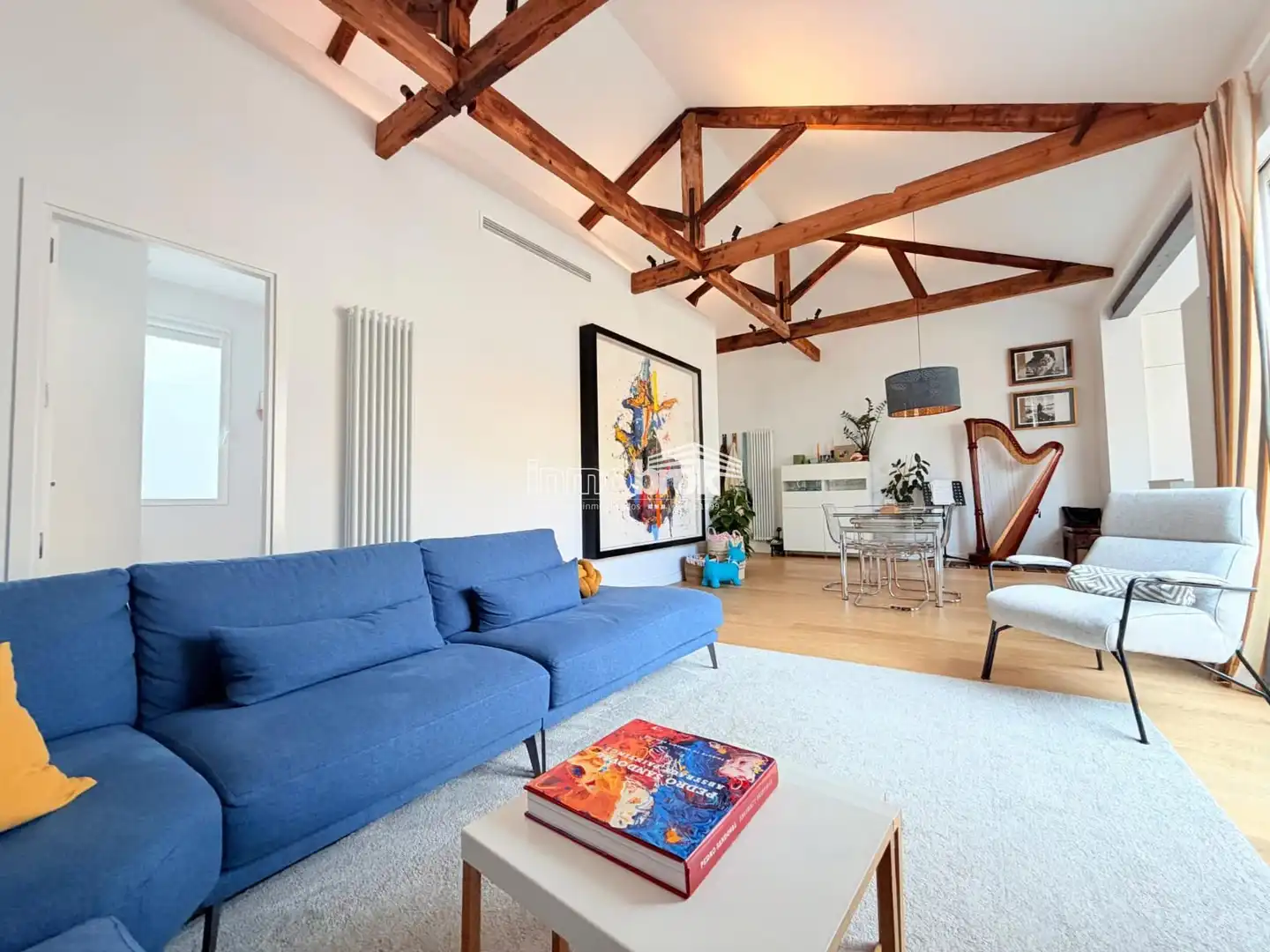 Wohnzimmer von Dachboden zur Miete in Madrid mit Terrasse und Abstellraum