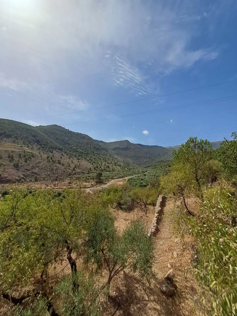 Country house for sale in Fondón, imagen 18