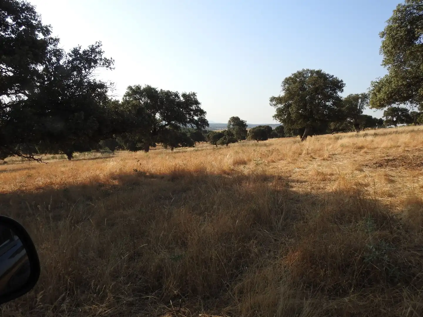 Land for sale in Villar del Pedroso