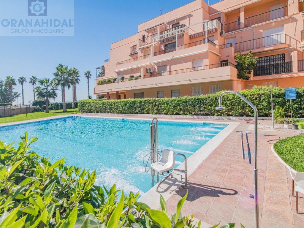 Exterior view of House or chalet for sale in Salobreña  with Private garden, Storage room and Swimming Pool