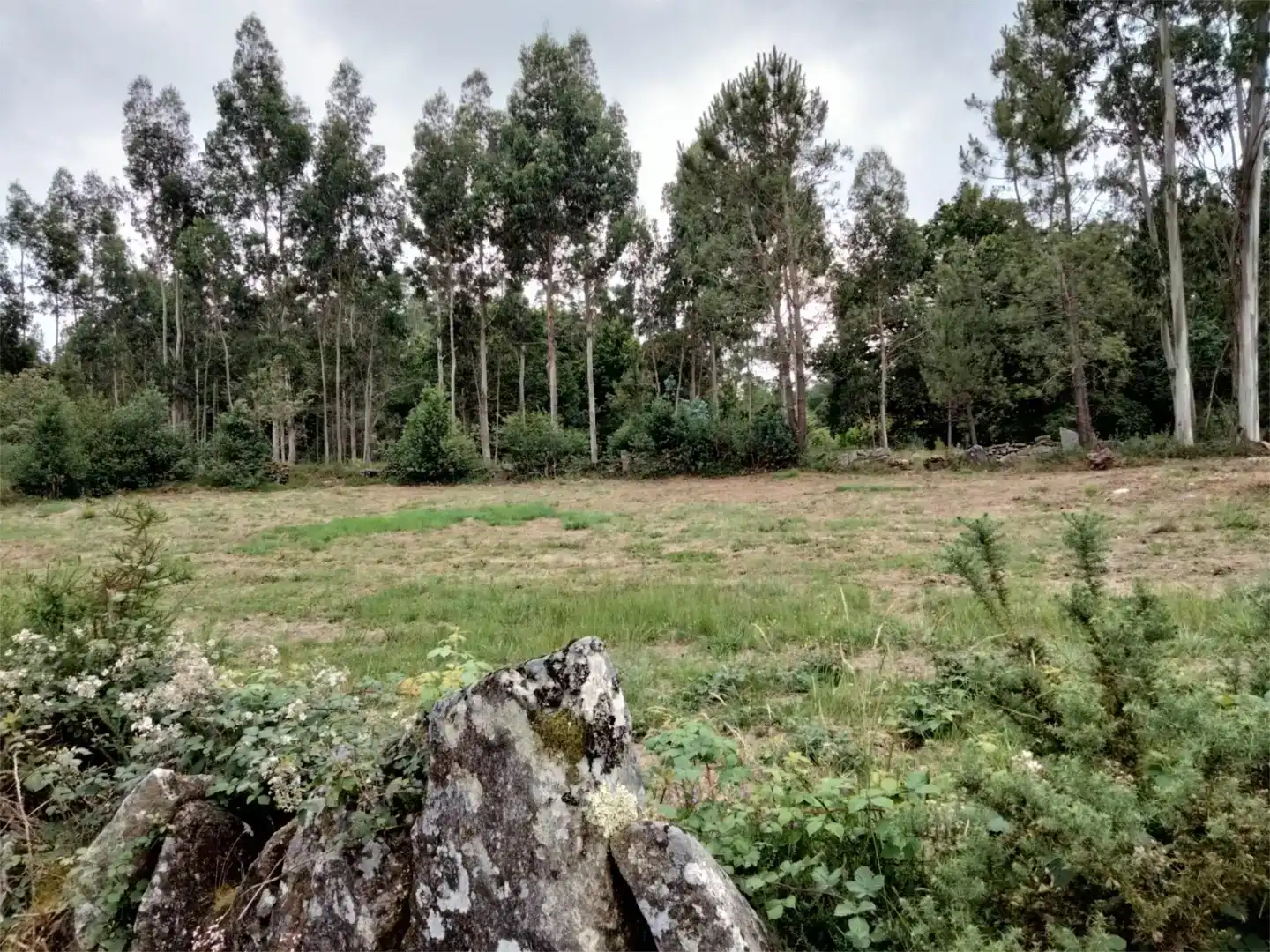 Finca rústica en venda en Cotobade