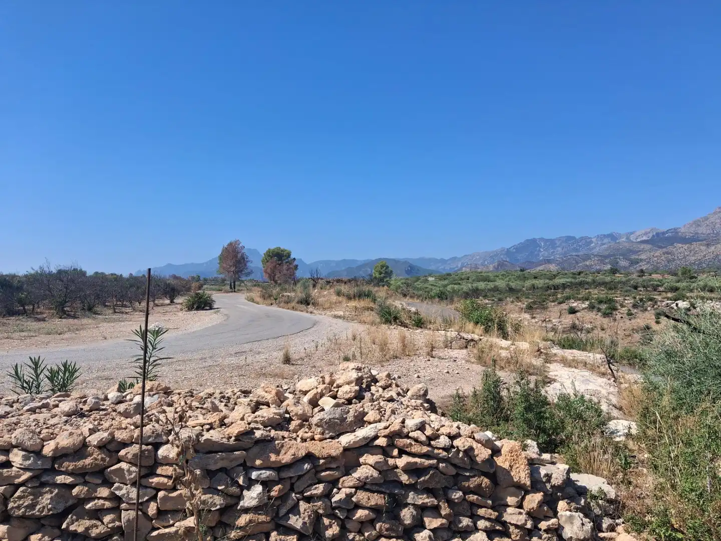 Houses for sale in Xerta