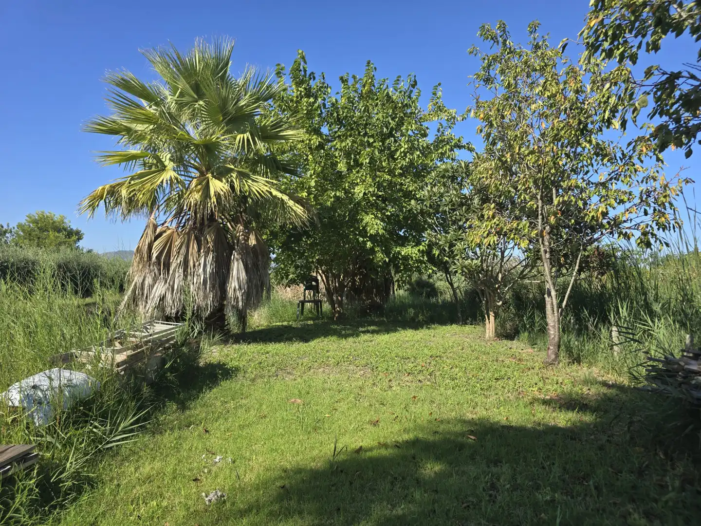 Terreny rústic en venda a Camí la Fileta 2, imagen 8