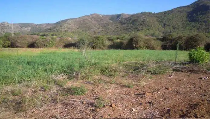 Terreno en venta en Simat de la Valldigna