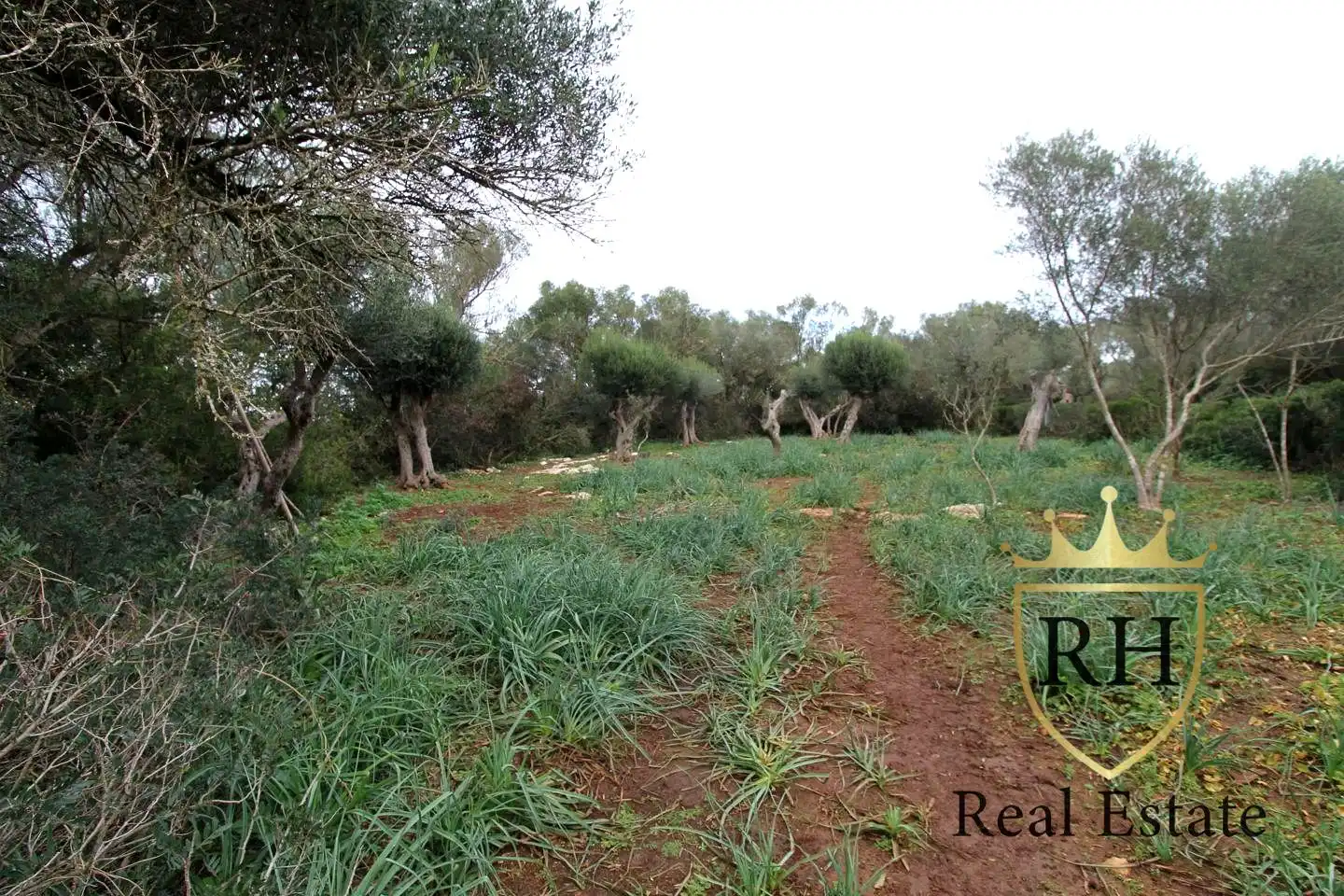 Lands and plots for sale in POLIGONO 49 PARCELA 3, imagen 23