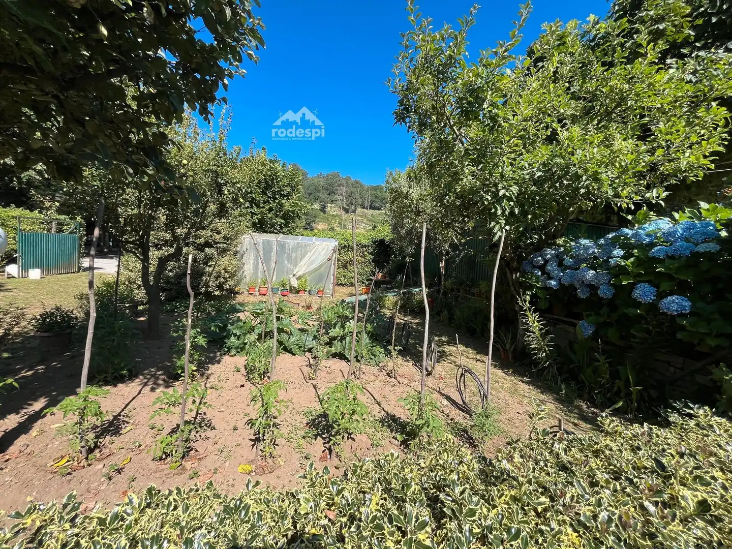 Jardín de Casa o chalet en venta en Beade  con Trastero, Piscina y Amueblado