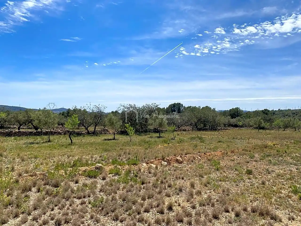 Terreno rustico in vendita a Mas de Baralluga, imagen 19