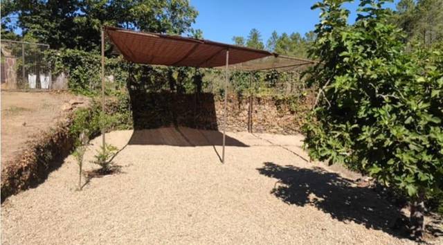 Finca rústica en Venta en Pinofranqueado