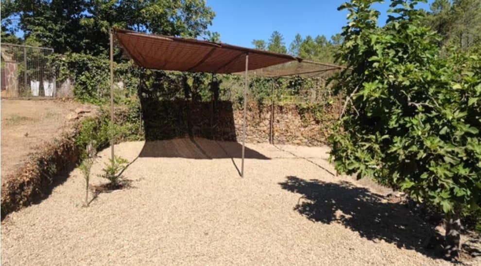 Garden of Country house for sale in Pinofranqueado  with Air Conditioner