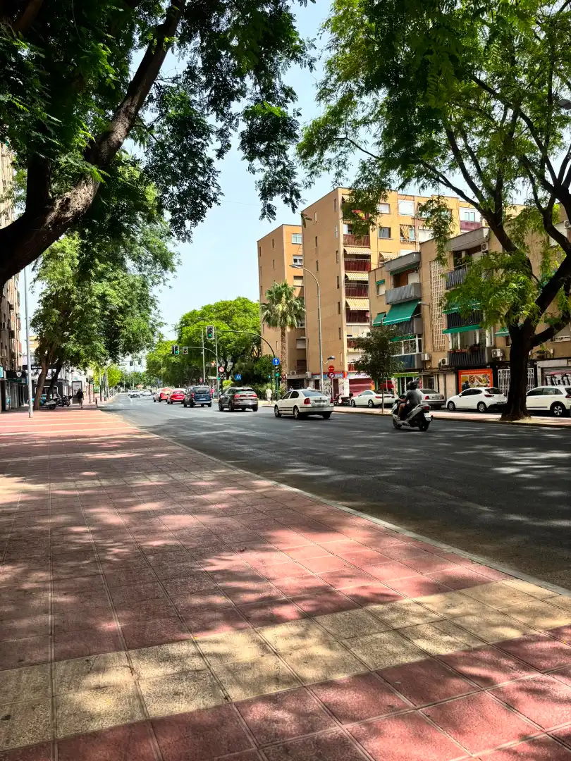 Vista exterior de Pis en venda en Murcia amb Aire condicionat, Traster i Moblat