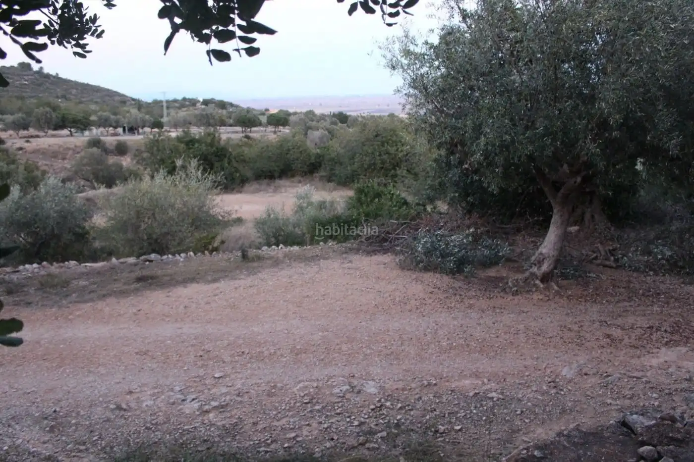 Rustikales Grundstück zum Verkauf in Vial Camino 315, imagen 6