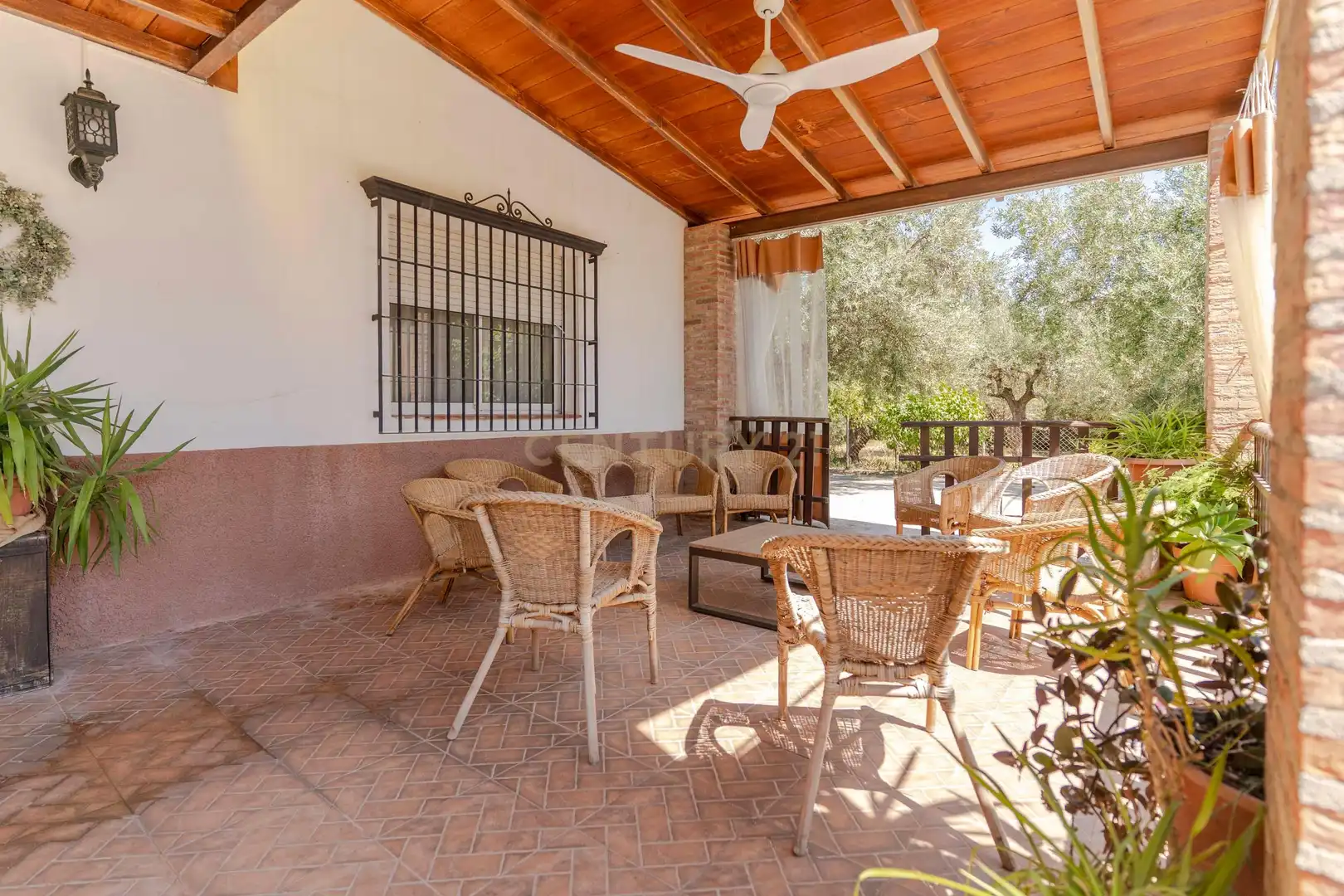 Terraza de Edificio en venta en Gójar