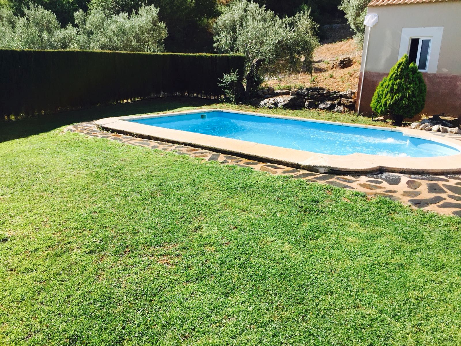 Piscina de Piso de alquiler en  Jaén Capital con Aire acondicionado, Calefacción y Amueblado