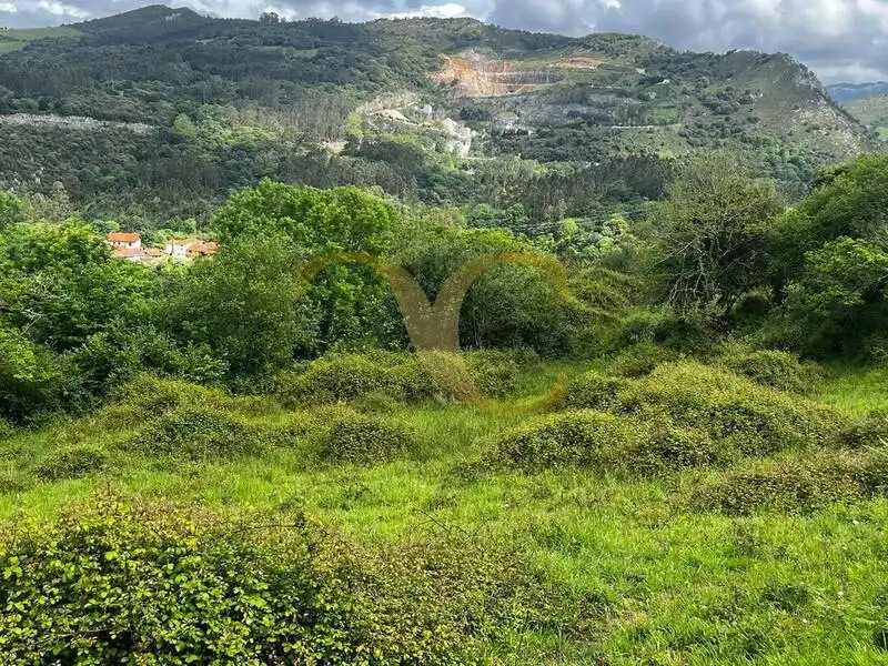 Terreny rústic en venda a Andinas, imagen 5