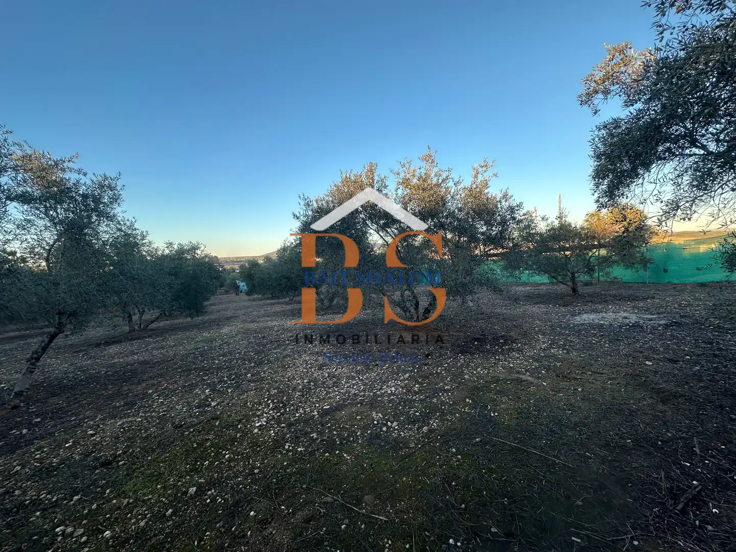 Rural land for sale in Mollina