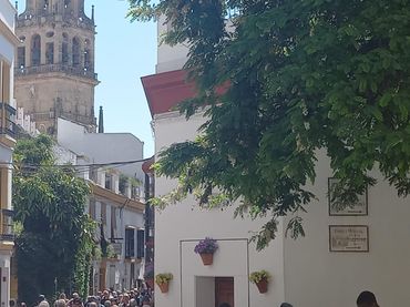 Casa de lloguer a Centro