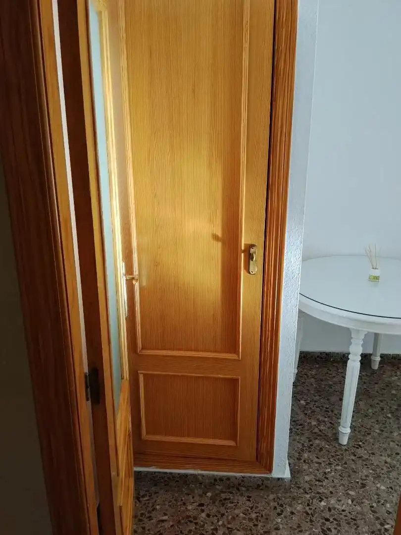 Pis en venda en Algemesí amb Aire condicionat, Terrassa i Moblat