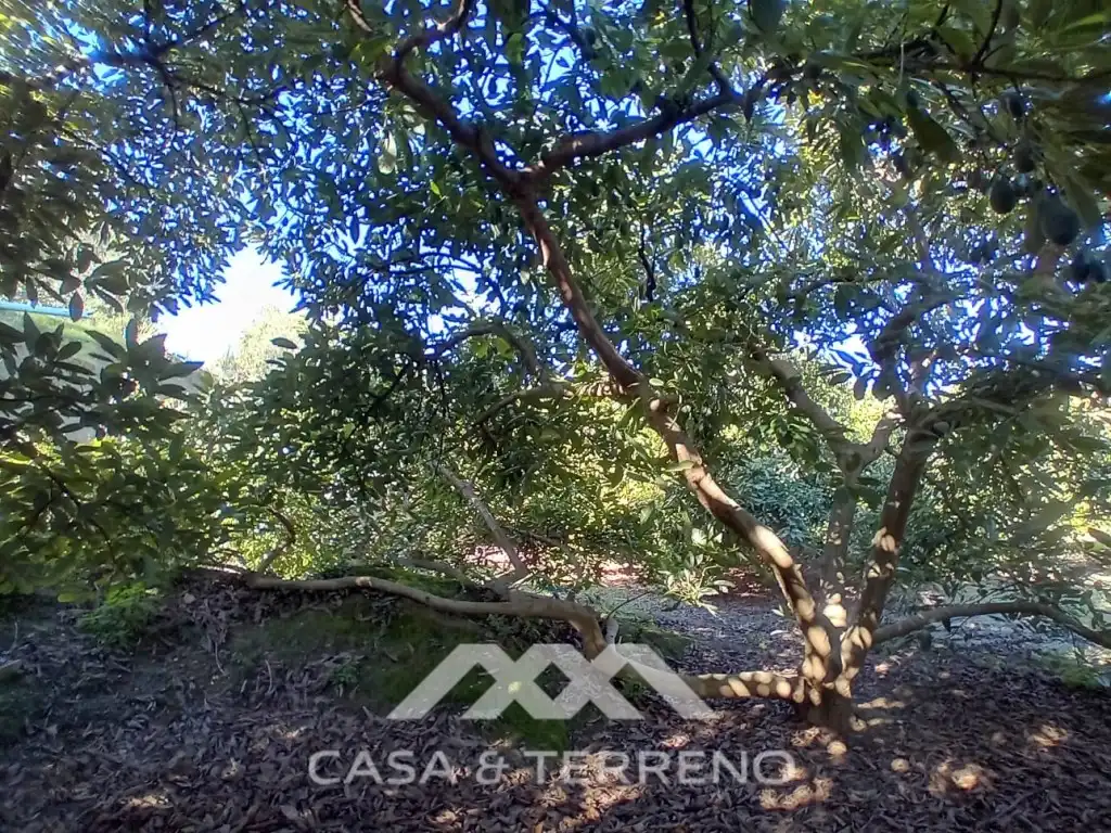 Casa o xalet en venda en Alozaina amb Piscina