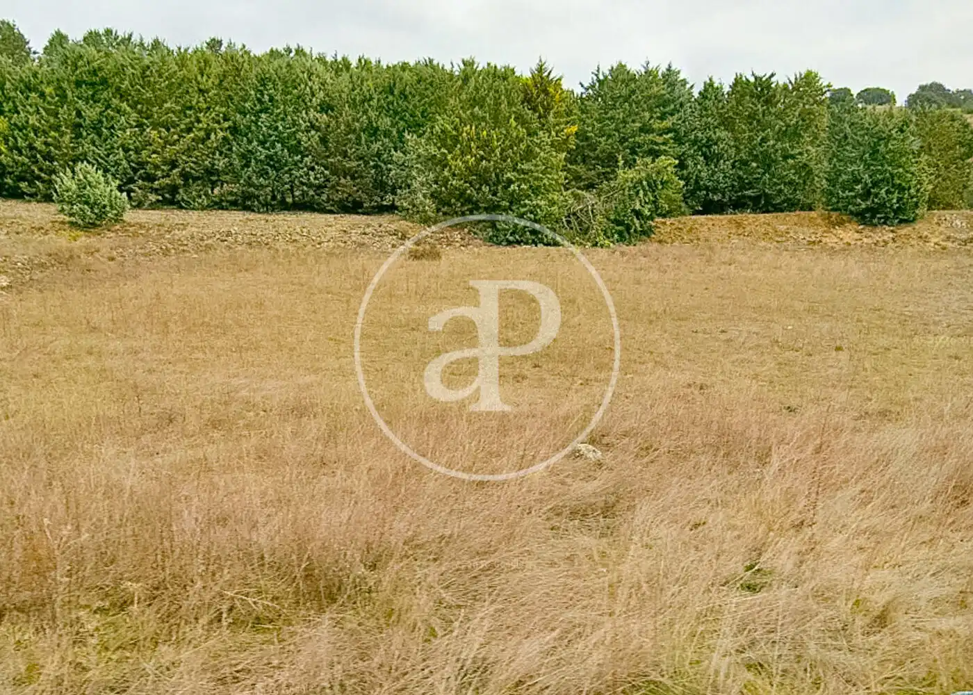 Residential land for sale in Guadalix de la Sierra, imagen 6