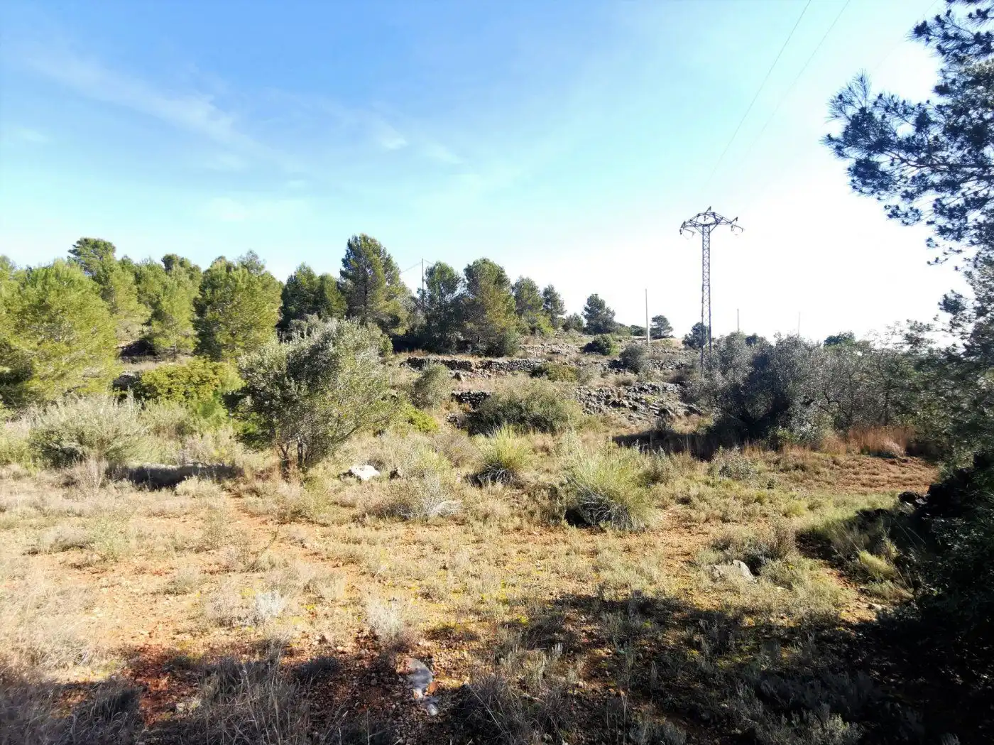 Finca rústica en venda en Chella