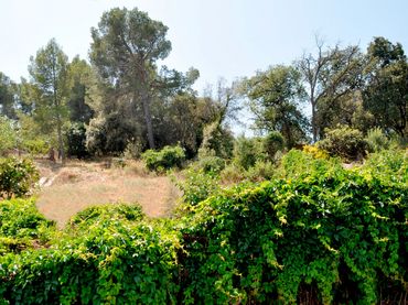 Terreno residenziale in vendita a Montflorit
