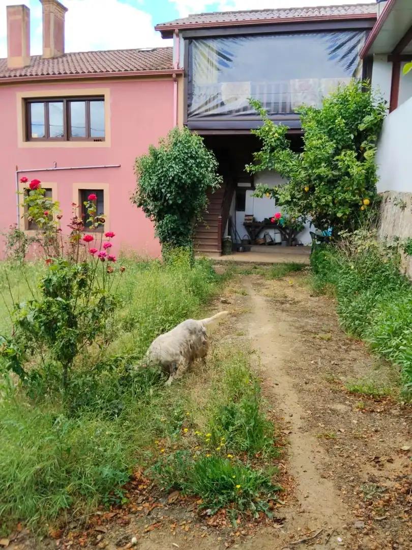 Casa rústica con jardín en venta en Vila de Cruces, imagen 36