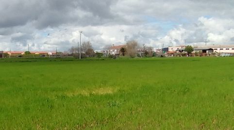 Terreno regadio 2ª línea Ctra. N-401a, immagine 2