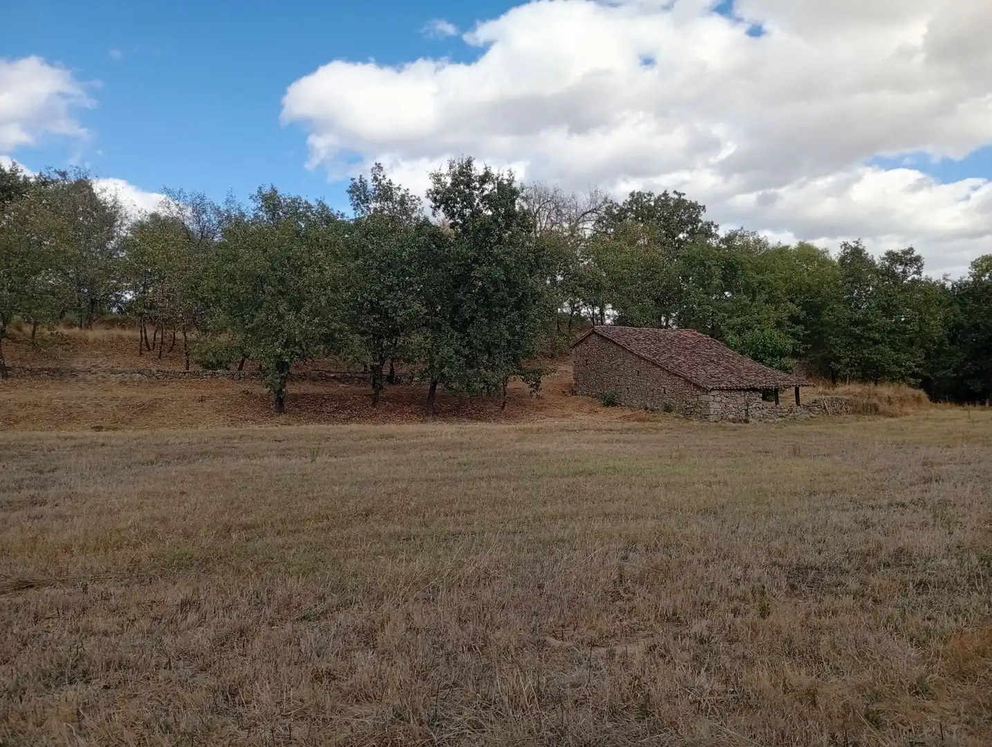Terreni e lotti in vendita a Villanueva de la Vera, imagen 81
