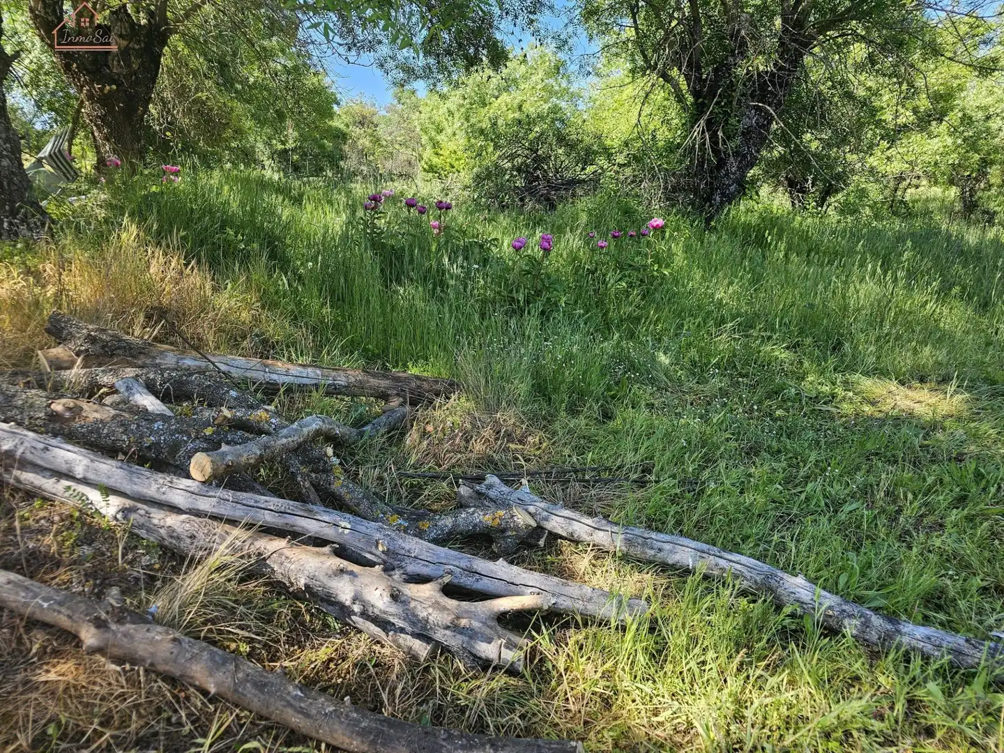 Terreno rustico in vendita a Valdemorillo pueblo, imagen 16