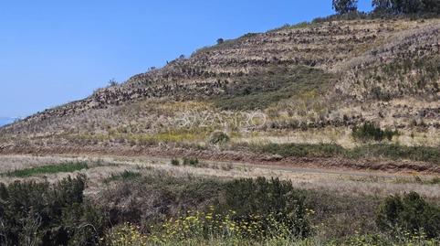 Foto 5 de Terreny de lloguer a Camino Ladera la Pintora, 1, La Esperanza - Llano del Moro, El Rosario