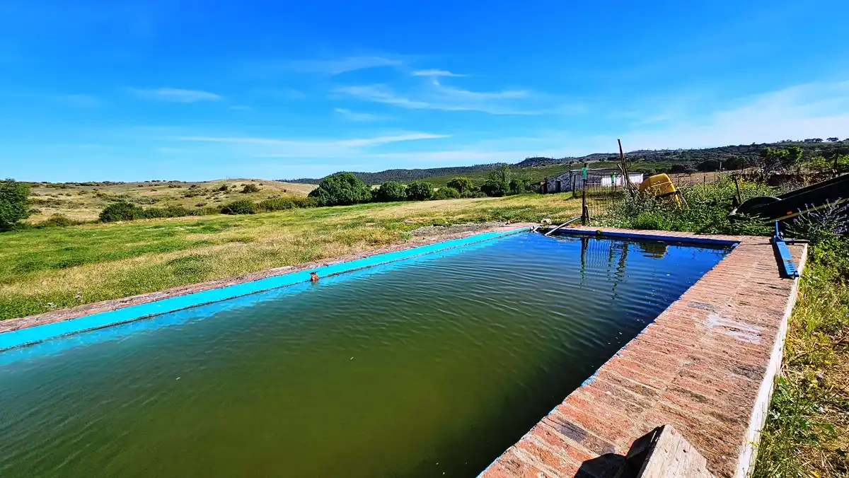 Swimming pool of Country homes for sale in Zufre  with Private garden