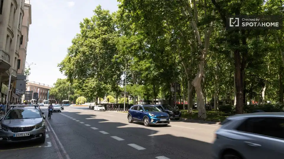 Appartamento con terrazza in affitto a Centro, imagen 18