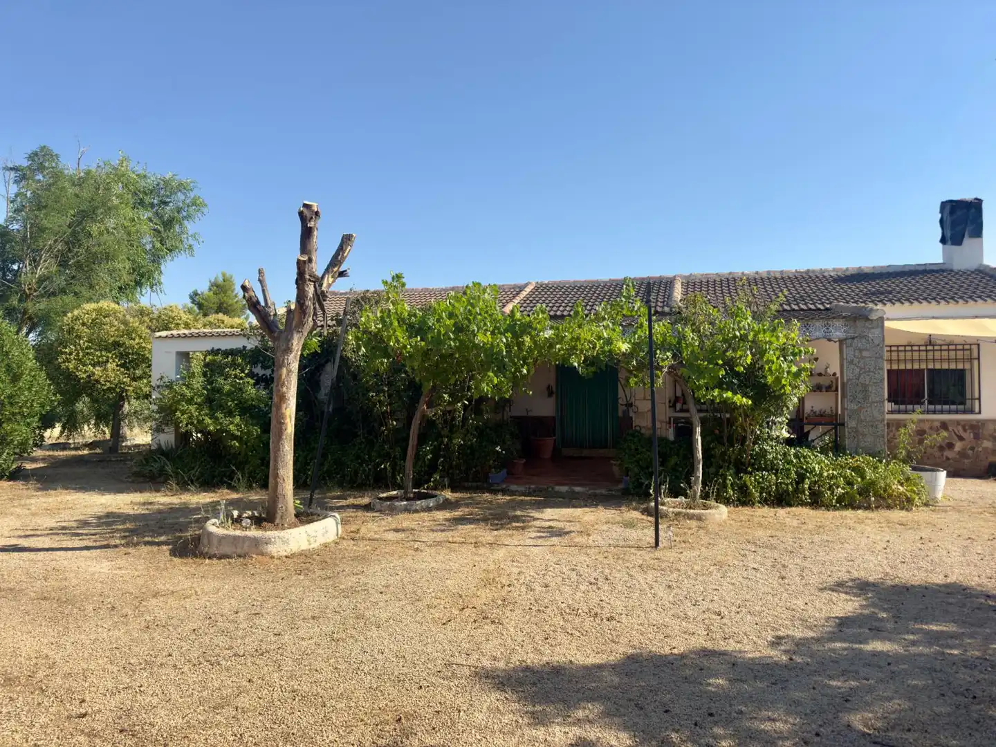 Casa rústica en venda a Valdepeñas, imagen 50