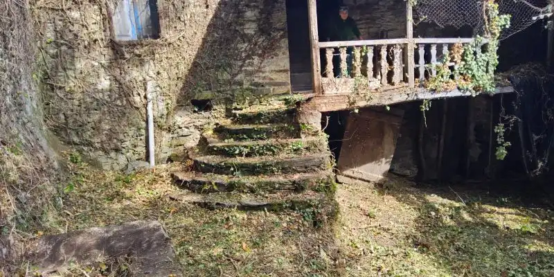 Finca rústica en venta en As Nogais 