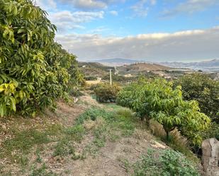 Terreny en venda a Minasierra Alta, 1, Motril  ciudad