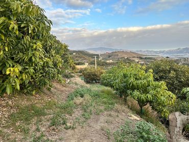 Terreno rustico in vendita a Minasierra Alta 1