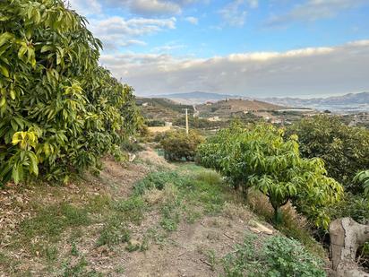 Land for sale in Minasierra Alta, 1, Motril  ciudad