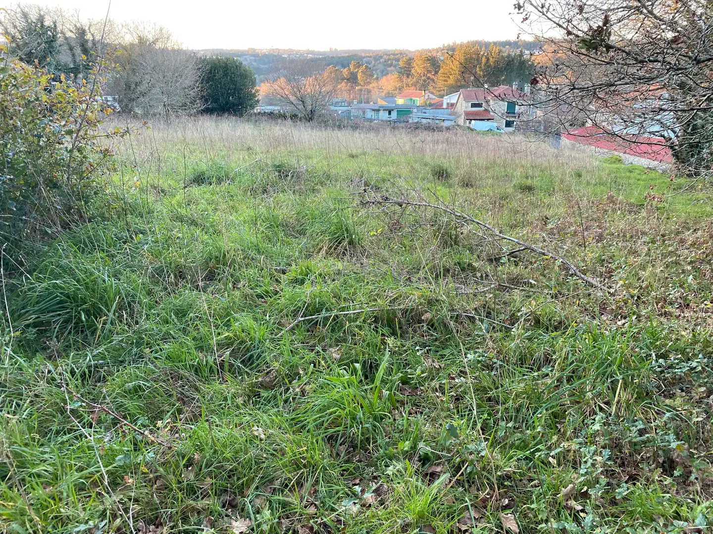 Terrains et parcelles à vendre à DP-8201, imagen 8