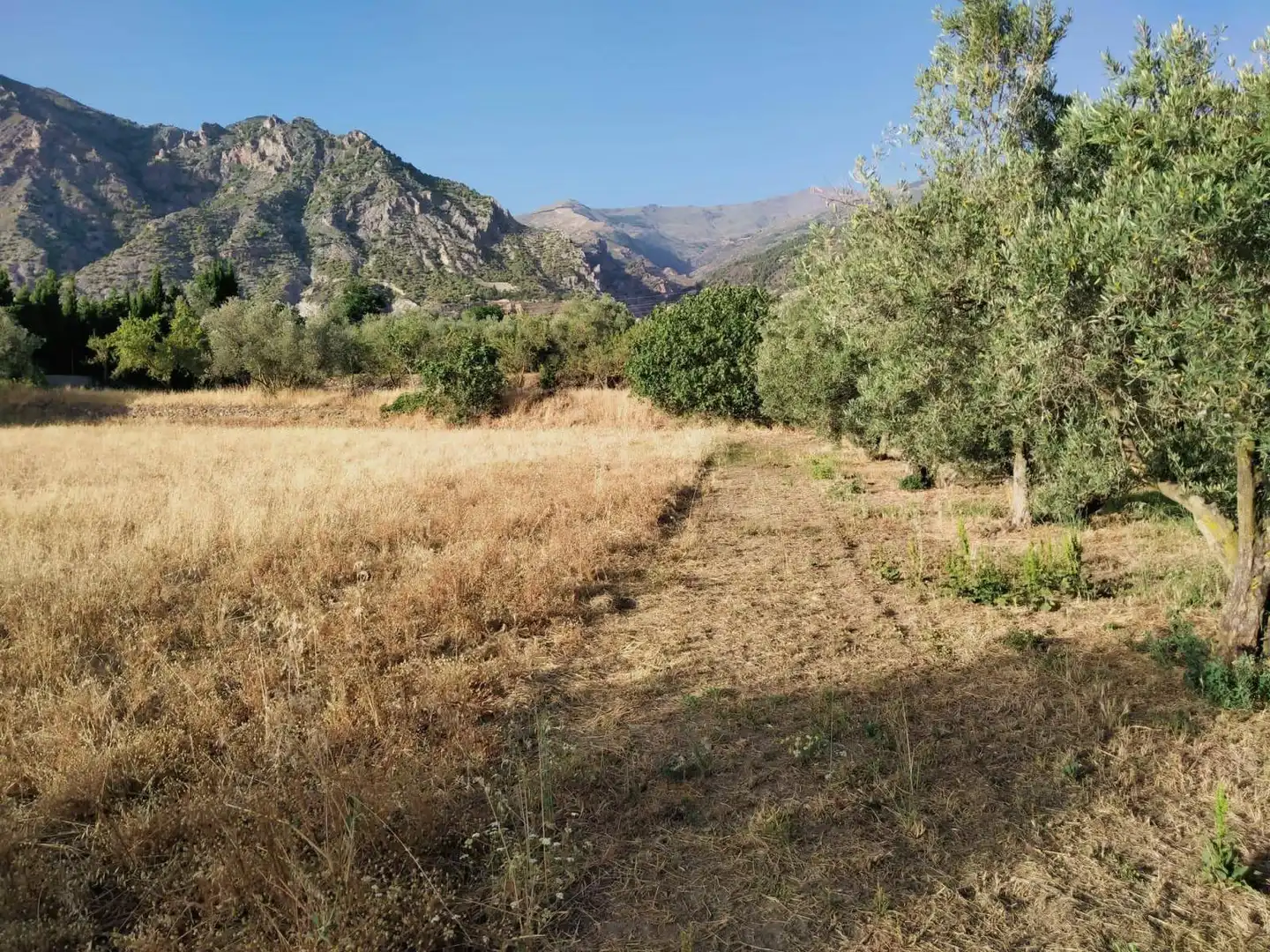 Residencial en venda a Nigüelas