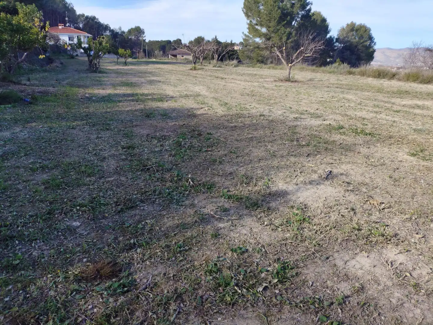 Terreno residenziale in vendita a Agullent, imagen 8