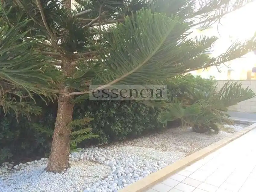 Vista exterior de Apartamento en venta en Gandia con Aire acondicionado, Jardín privado y Terraza