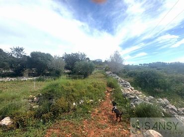 Terreny residencial en venda a La Granadella  - Costa Nova