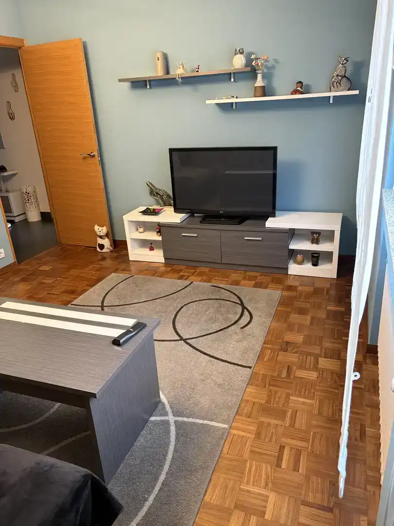 Living room of Flat for rent in A Milagrosa