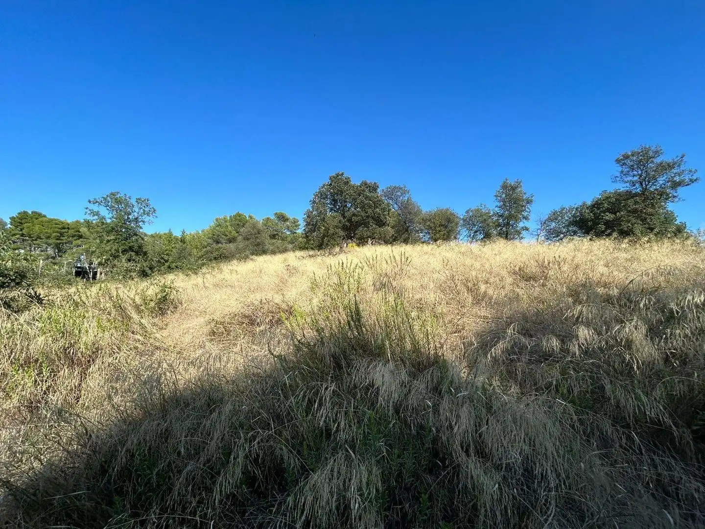 Terrain résidentiel à vendre à Carrer CEDRE, imagen 9